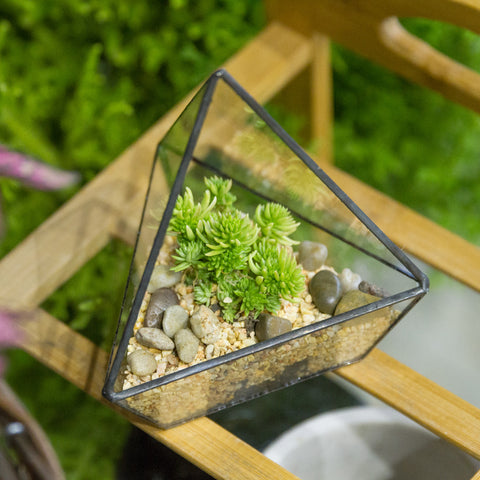 Geometric Terrarium