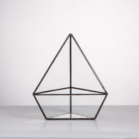 Geometric Terrarium