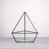 Image of Geometric Terrarium